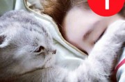 处女座适合猫咪头像吗男生，处女座适合猫咪头像吗男生图片